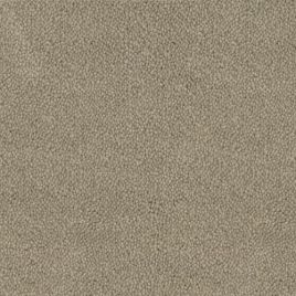 Desso tapijt Asteranne grijs 400cm