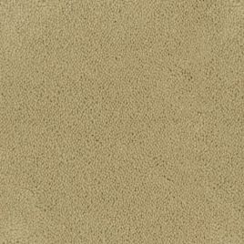 Desso tapijt Asteranne beige 500cm