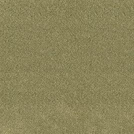Desso tapijt Asteranne groen 500cm