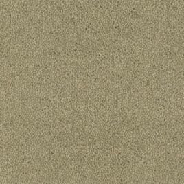Desso tapijt Asteranne grijs 500cm