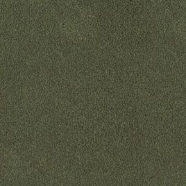 Desso tapijt Asteranne groen 500cm