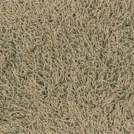 Bonaparte tapijt Chinchilla beige 500cm